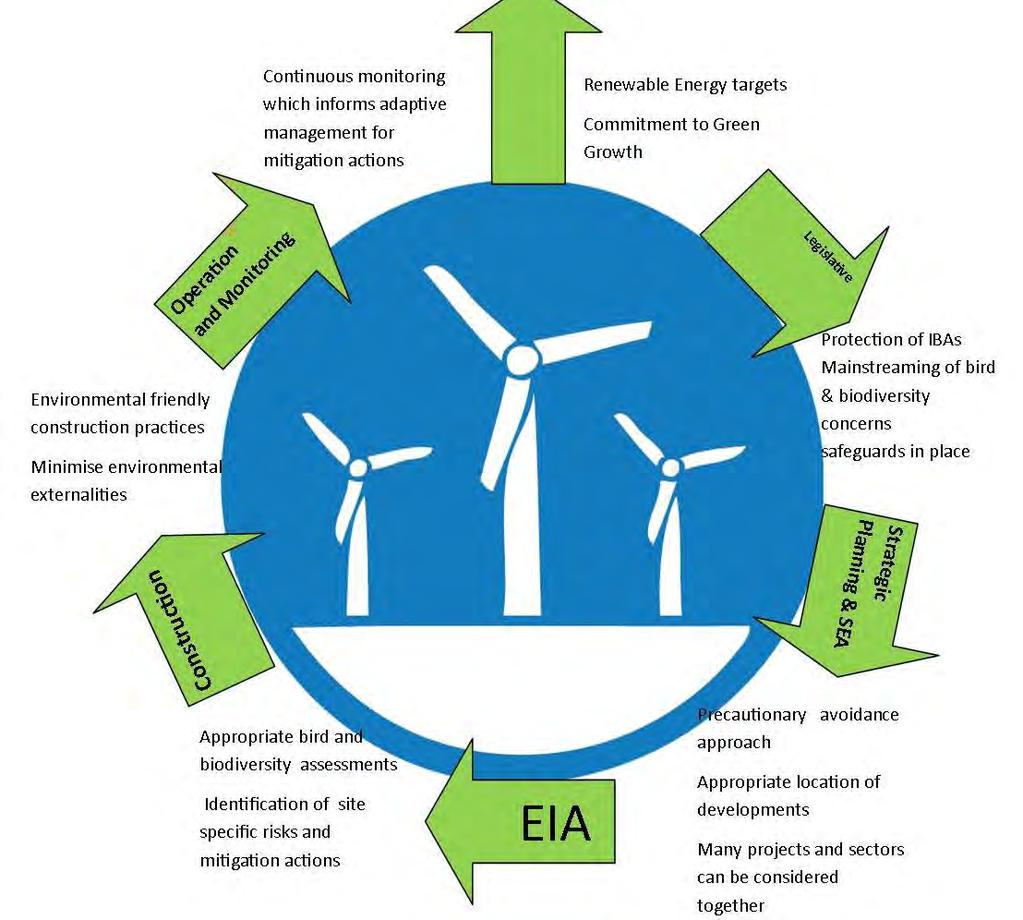 Wind development cycle