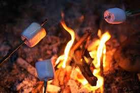 Campfire Cooking at Edison Woods Friday, September 07, 2018 4:45 PM to 7:15 PM Edison Woods Metropark 8111 Smokey Rd.
