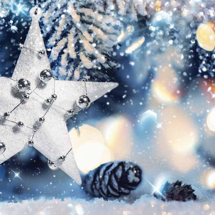 Winter Wonderland Party Nights The perfect way to celebrate the festive season is on one of our magical dinner dances.