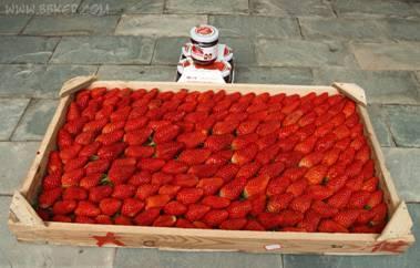 The processing period for frozen strawberries is usually 40-50 days.