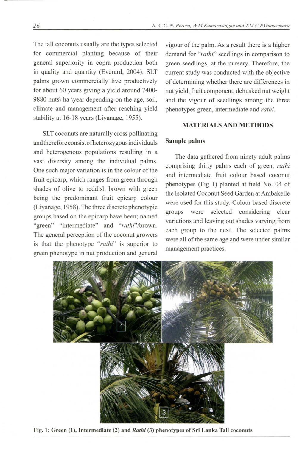 26 S. A. C. N. Perera, WM.Kumarasillghe alld T.M.C.PGlInasekara The tall coconuts usually are the types selected for commercial planting because of their general superiority in copra production both in quality and quantity (Everard, 2004).