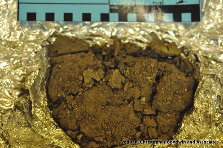 Preserved waste can reveal details about the person s diet and diseases, like if they ate certain foods or had parasites. Sometimes, archaeologists can even get DNA from coprolites.