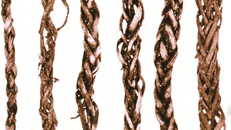 Cords Researchers analyzed 31 pieces of cord from the site. Thin cords, woven with plant materials, usually do not survive so long. Cord weaving at Bayou Jasmine stands out in a few ways.
