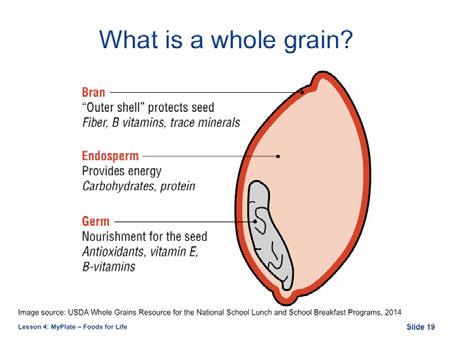MyPlate recommends that half our grains are whole, and the meal pattern requires that all grains are whole grain rich, meaning that they contain 51% or more whole grain.