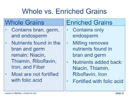 It has fiber, B vitamins, and minerals. Endosperm is the starchy part of the grain, and it has carbohydrates and protein.