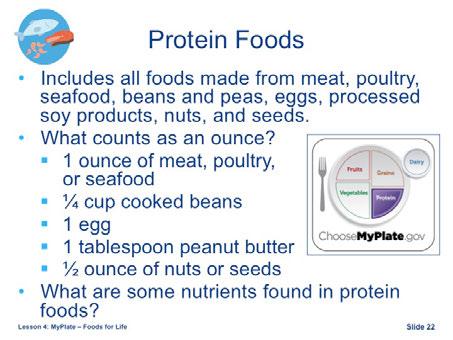 Protein foods include all foods made from meat, poultry, seafood, beans and peas, processed soy products, nuts and seeds.