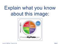 Opening Questions/Prompts 1. Say: Let s get started with Lesson 4 MyPlate: Foods for Life To begin, I d like everyone to discuss some opening questions within your group.