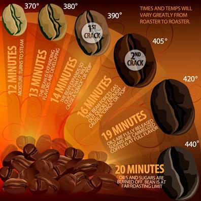 Roasting Process Bean stages: Green stage Yellow Stage: 200 F 250 F Light Brown Stage: 250 F 300 F
