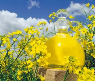 Canola Oil Canola oil (edible) contains two poly-unsaturated fatty