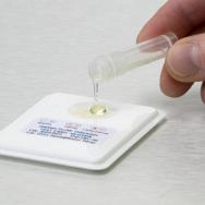 solution used in GLUTEN-CHECK ELISA kits, provided in pre-filled tubes. The mixture is shaken to extract gluten and the contents allowed to settle/centrifuged to clarify the extract.