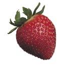 Prep time: 10 minutes 1½ cups strawberries, stemmed 2 cups 1% lowfat milk Makes 2 servings. 1½ cups per serving.
