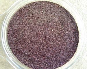 Amaranthus hence does not need wind or insects for pollination, but accepts intercrossing with other varieties of amaranths (allogamy) Isolation The pollen is tiny and very light and