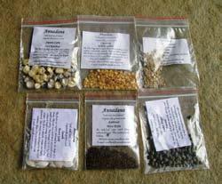 Seed storage Optimal storage for seeds needs to be airtight, maintain low humidity, and low temperature.