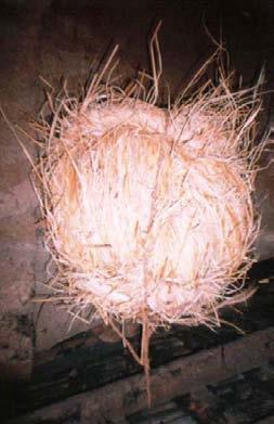 The dried straw is twisted to form ropes and the ropes are concentrically arranged over a large area (as shown, right).