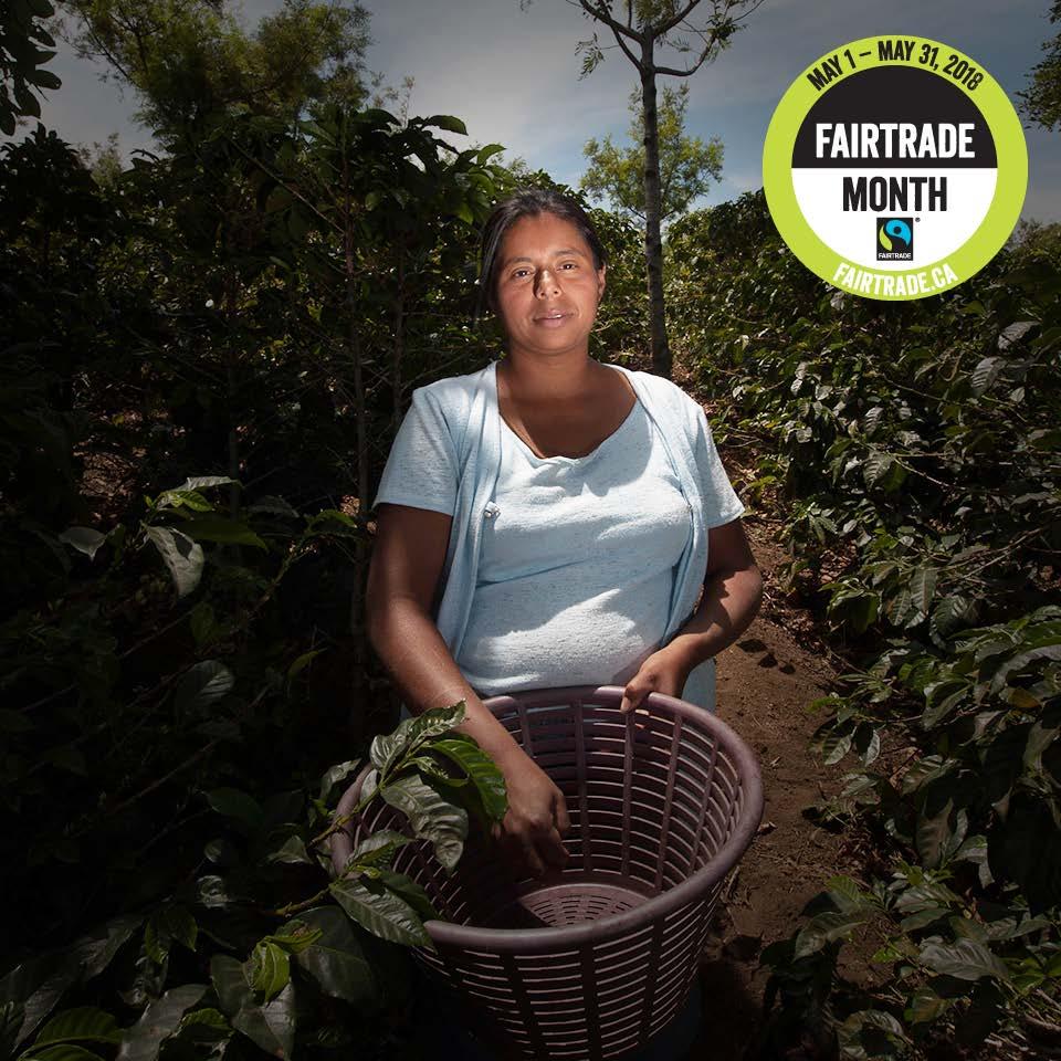 instagram photos and posts Use our photos, hashtags and text for ideas to help you talk about Fairtrade Month. It s #FairtradeMonth!