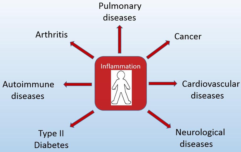 Chronic Inflammation and Diet The immune system works to protect and defend the body from potentially harmful threats, like bacteria or a virus.