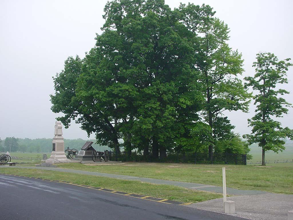 Copse of Trees on Cemetery Ridge,
