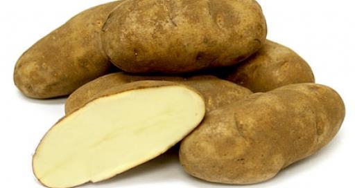 70% of processing potatoes Large tubers, russet skin and white flesh Popular