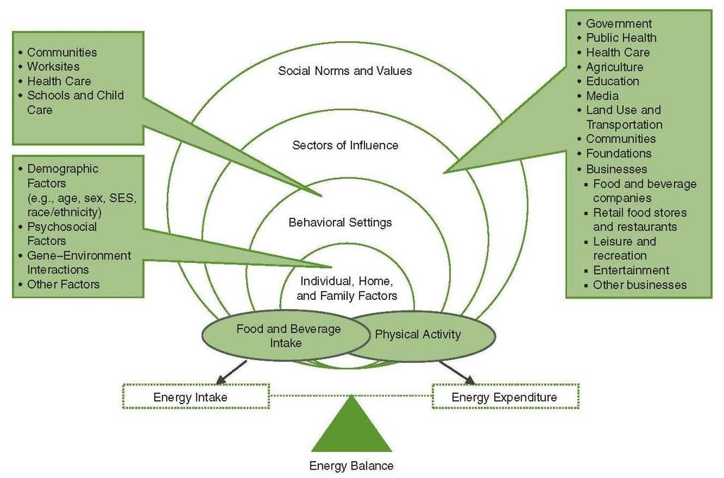 Levels and Sectors of Influence on Obesity Source: Institute of Medicine