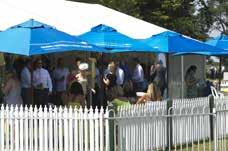 William Hill Peninsula Cup Day Minimum booking 30 guests Building Brands Christmas Race Day: Minimum booking 50 guests Mornington Cup Day: Minimum booking 50