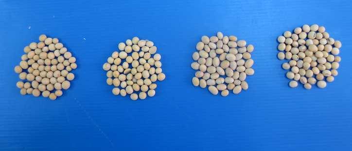 Comparison of Australian, Canadian and US soybeans in Tofu and Soy milk Production Australian non Canadian GM Canadian IP non US GM GM GM Moisture, % 10.8 12.9 11.7 11.5 Protein (dry basis),% 40.5 41.