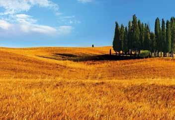 Tuscan Experience getaway Life under the Tuscan sun Tuscany is