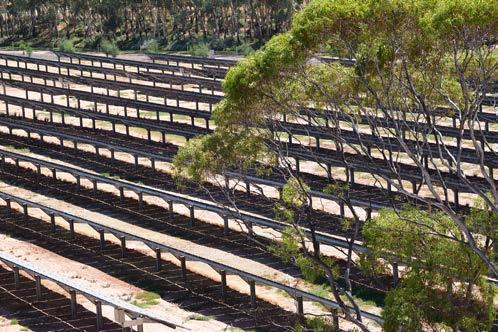 0 million and will focus on: Major efficiency upgrades at the Buronga Hill Winery Efficiency improvements at our Merbein packaging facility Vineyard developments at existing owned vineyards Our