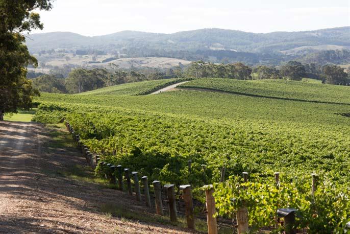 The crush from warm inland regions increased by about 3%. The average grape price across all varieties increased 7% to $565/tonne the highest since 2008.
