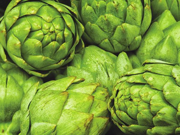 ARTICHOKE Should be firm, compact, and heavy for its size with even bright green color and no black bruises or purple tint.
