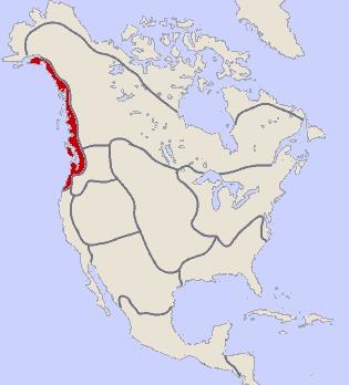 The Northwest Coast Indians Lived along the Pacific coast.