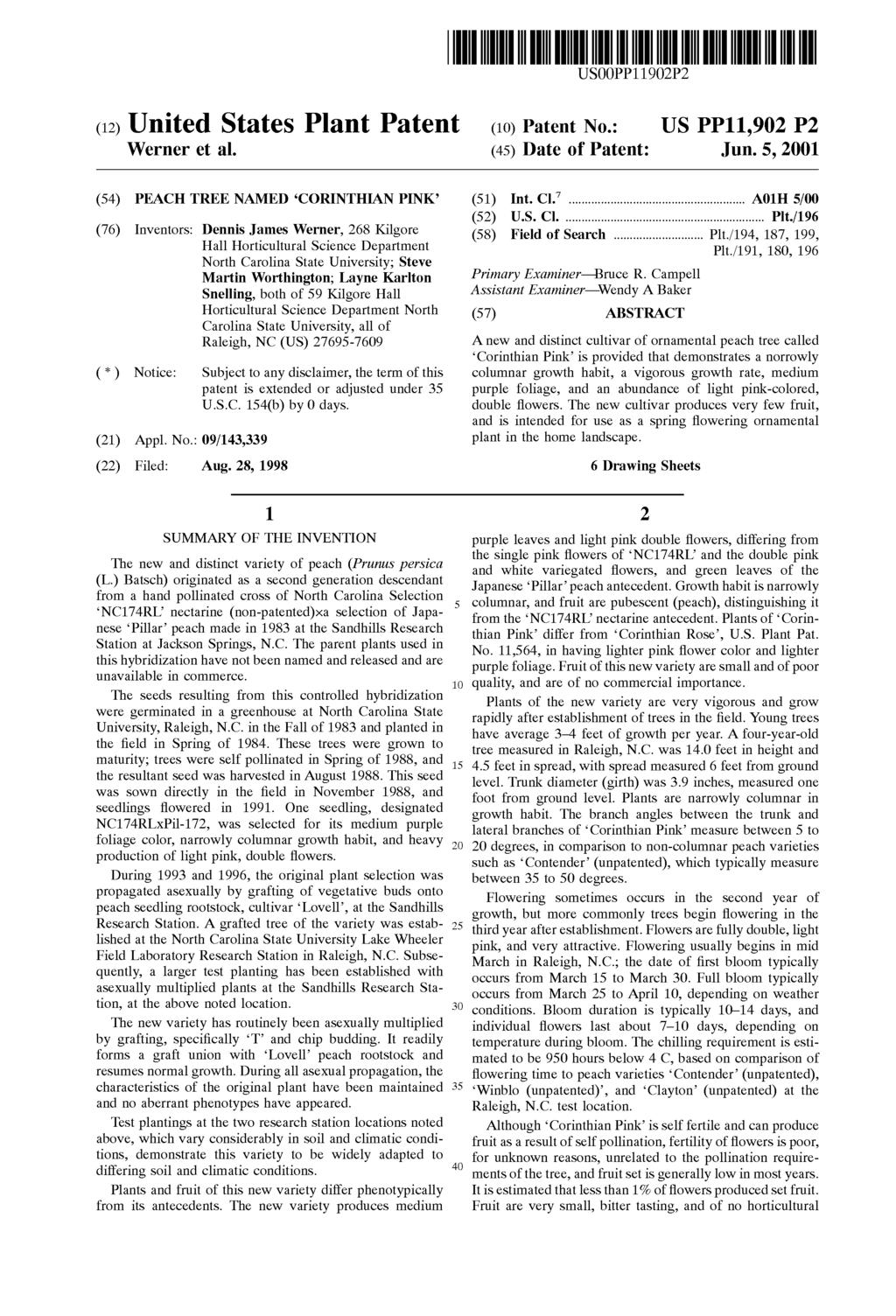 (12) United States Plant Patent USOOPP11902P2 (10) Patent No.: US PP11,902 P2 Werner et al. (45) Date of Patent: Jun. 5, 2001 (54) PEACH TREE NAMED CORINTHIAN PINK (51) Int. Cl."... A01H 5/00 (52) U.