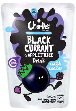 Blackcurrant & Apple Fruit