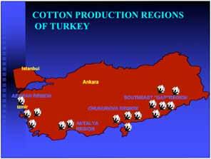 COTTON PRODUCTION REGIONS OF TURKEY COTTON IN TURKEY Istanbul AEGEAN REGION Izmir Ankara CHUKUROVA REGION SOUTHEAST GAP REGION ANTALYA REGION Cotton Production and Yield (*) estimate, (**)