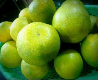 EXTRACTION OF CITRUS OIL FROM SWEET LIME (CITRUS LIMETTA) PEELS BY STEAM DISTILLATION AND ITS CHARACTERIZATIONS 1 D.C. Sikdar, 2 Vikas Gunaki, 3 Rakesh Rao 1,2,3 Dept.