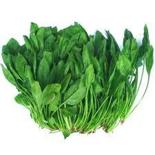Some main vegetable are: cabbage, lettuce, spinach,