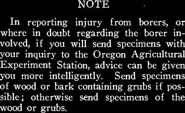 NOTE In reporting injury from borers, or where in doubt regarding the borer involved, if you will send specimens with your inquiry to the Oregon Agricultural
