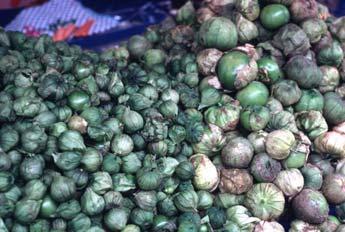 Tomatillo Often sold without husk Maturity important for composition and quality 10 C (0 F) Husk dries at warmer temperature Husk decay at lower temperatures Fruit is chilling sensitive weeks VISUAL