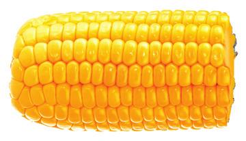 1/2 ear of corn 1 medium