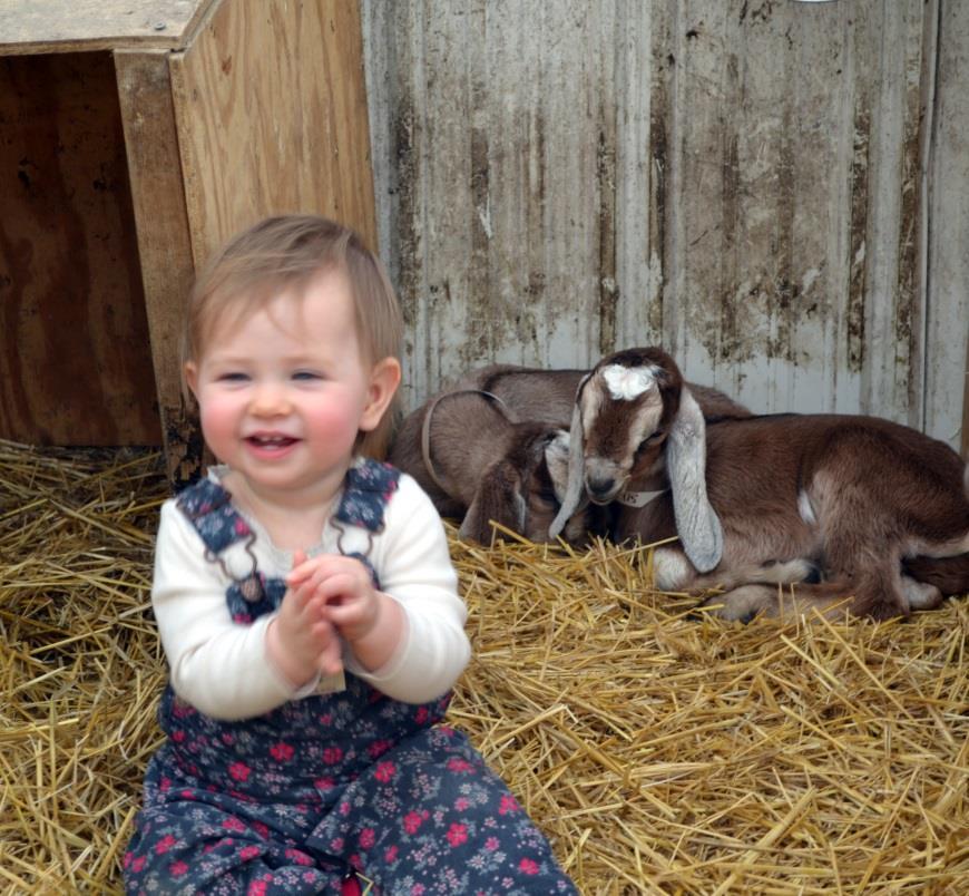 farmers market season Baby goats and breakfast: a winning combo