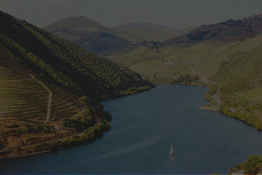 YOU WILL CONCLUDE THE DAY AT THE PREMIER LUXURY HOTEL IN DOURO,