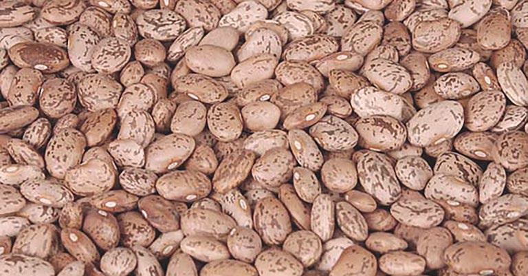 YOU RE BUYING MORE THAN A BEAN ORGANI C P I N T O By choosing these pinto beans, you re partnering with our Add 1 cup beans to a pot and cover with cold water. Soak for 6-8 hours.