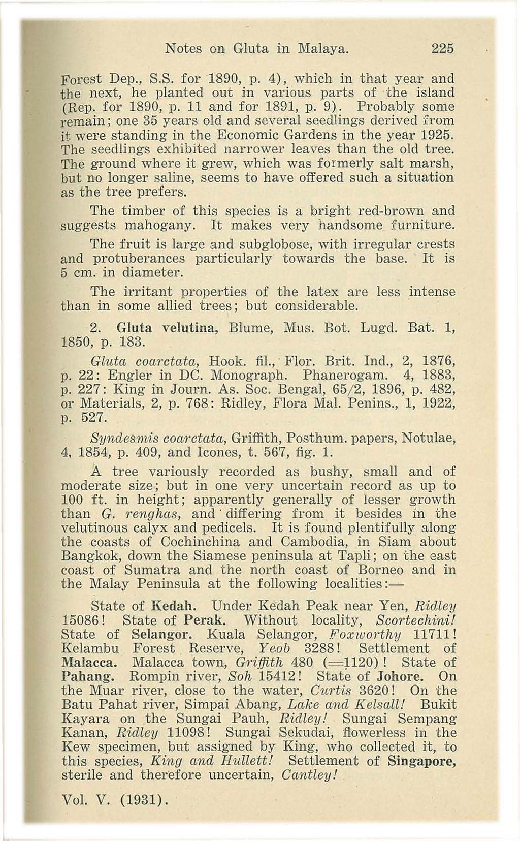 Notes on Gluta in Malaya. 225 Forest Dep., S.S. for 1890, p. 4), which in that year and the next, he planted out in various parts of the island (Rep. for 1890, p. 11 and for 1891, p.9).