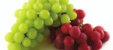 59 California Red or Green Seedless Grapes California Sweet Peaches Dole