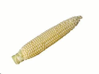 ANNEX 1 DEFINITIONS Mature When the kernel is pierced or broken the inside substance shows a creamy white appearance.