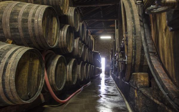 These are over 100 years old and built by João's grandfather. An LBV at Infantado consists of the best barrels of Ruby barrels with a few years of aging on them.