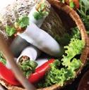STARTERS - MÓN KHAI VỊ SALADS - GỎI (G) Hanoi fresh rice noodle rolls with beef and fresh herbs Phở cuốn thịt bò rau thơm VND 130 Green mango salad / Gỏi xoài xanh hải sản Grilled