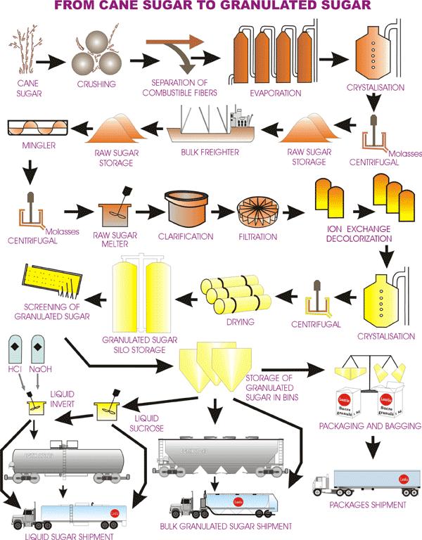 2 SUGAR PRODUCTION STEPS for the next processing stage.