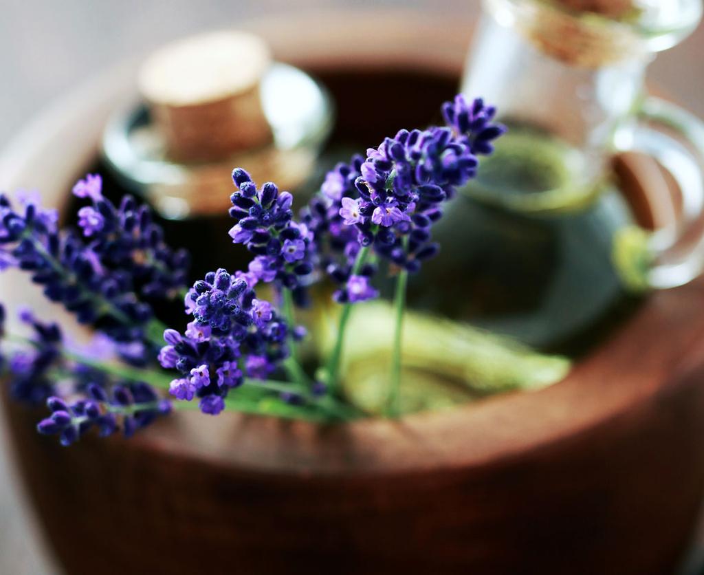 Lavender essential oil is amazing for calming and balance. Most likely the most popular oil out there.