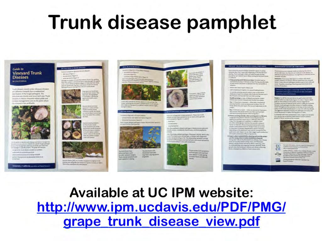 One of the goals of our project is to create new extension tools. Monica Cooper noticed the need for a trunk disease pamphlet she developed a pamphlet for mealybugs and suggested we do the same.