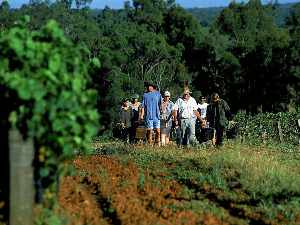 EntWine Australia is a voluntary national environmental assurance program that allows local winemakers